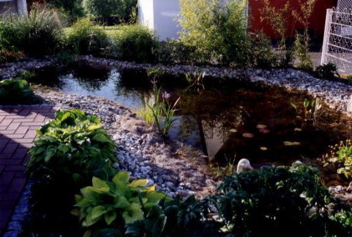 Images/gartenteich ca. 30 m2.jpg